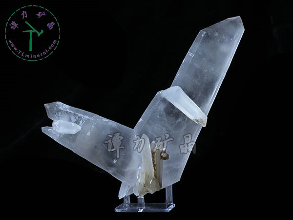 日本律雙晶，內(nèi)蒙古內(nèi)蒙古，東烏珠穆沁旗，額仁高畢,六井,976層,2016年產(chǎn)出