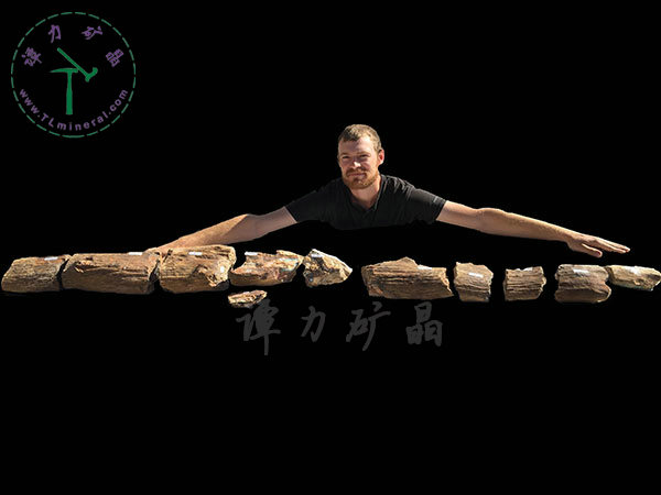 基尼斯之最-歐泊王，210cm,澳大利亞
