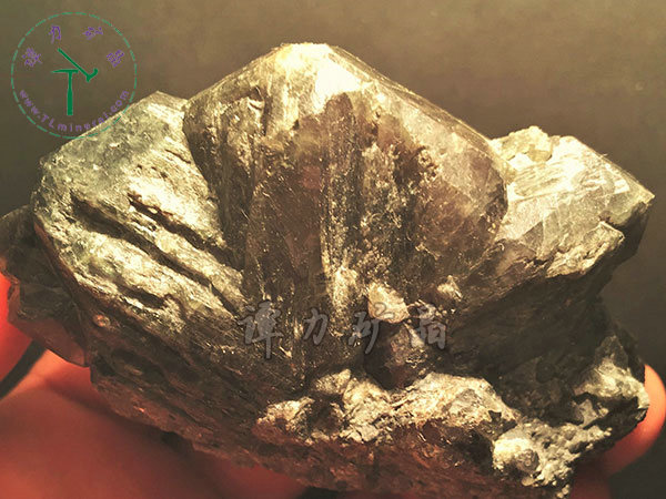 亞歷山大石（變石）輪式雙晶+津巴布韋，12x10x5.0(鎢絲白熾燈下拍攝)