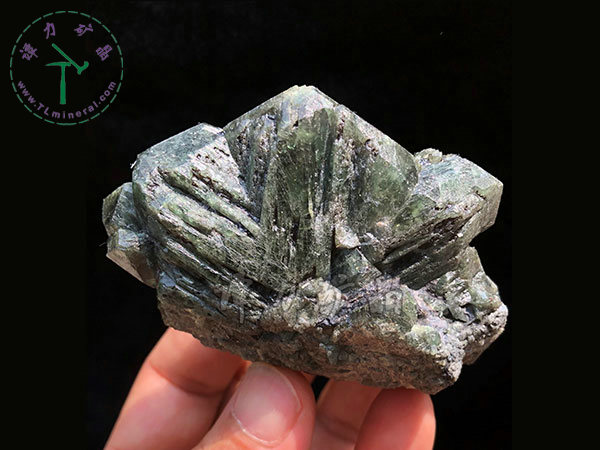 亞歷山大石（變石）輪式雙晶+津巴布韋，12x10x5.0(陽光下拍攝)